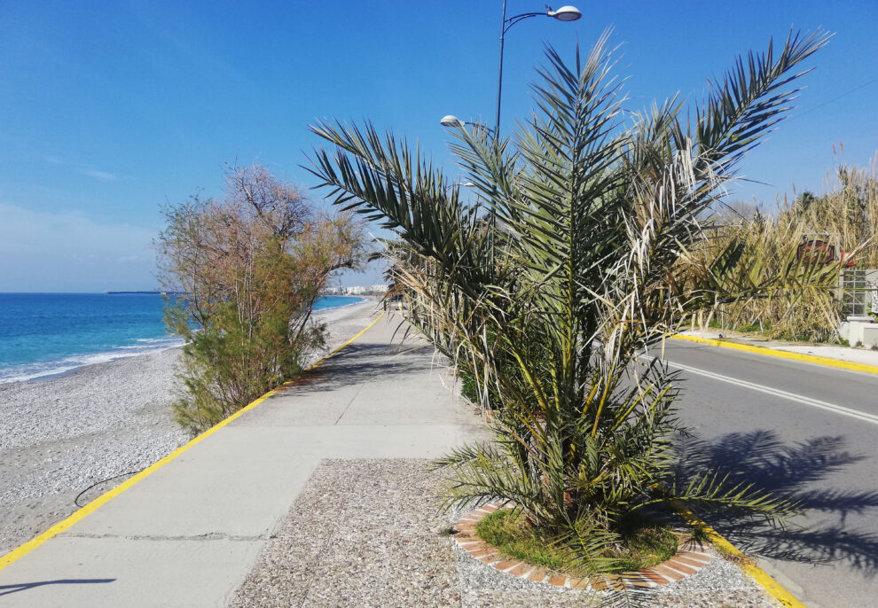 Χρειάζονται περιποίηση επειγόντως…