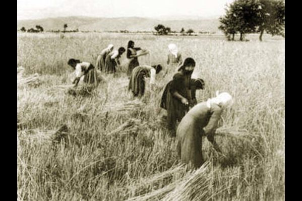 Πριν 94 χρόνια… “Κατόπιν διαταγής του υπουργείου Γεωργίας απελύθησαν οι τακτικοί εργάται των αγροκηπίων”