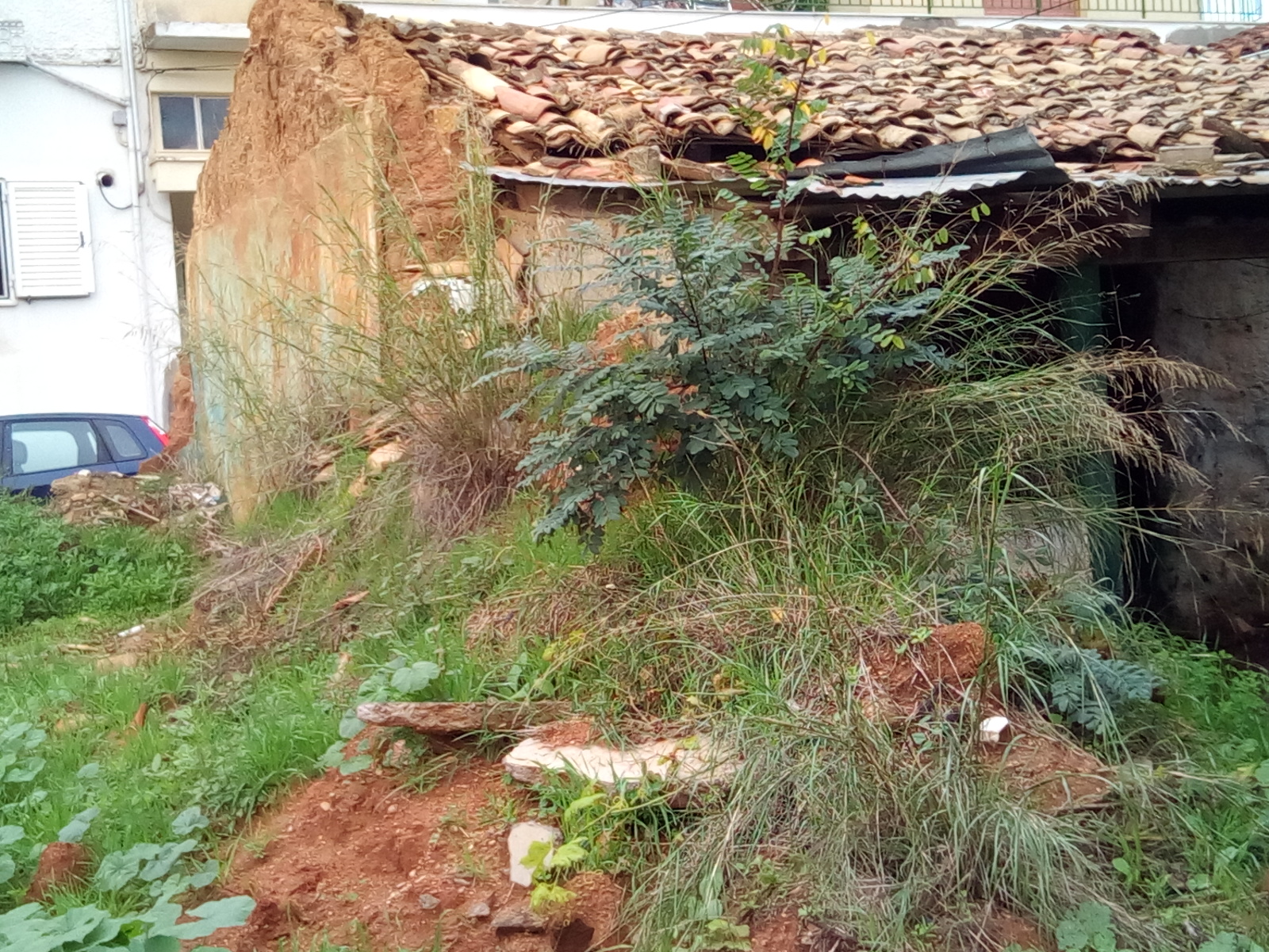 Μεσσήνη: Κίνδυνος για τη δημόσια υγεία ελέω πανδημίας