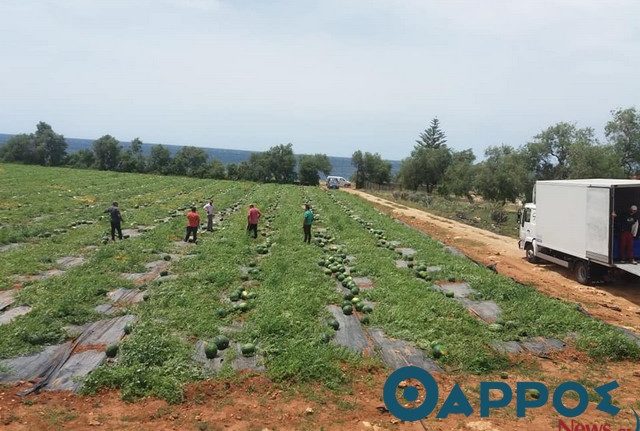 Πρόβλημα με τους εργάτες γης