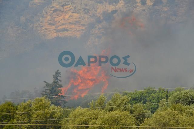 Ολονύχτια μάχη με τις φλόγες γύρω από το Βουλκάνο (φωτογραφίες & βίντεο)