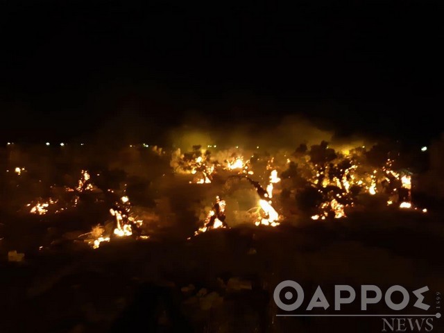 Κυπαρισσία: Εφιάλτης με δύο φωτιές σε Παναγία Γελουδά και Γιαννίτσαινα