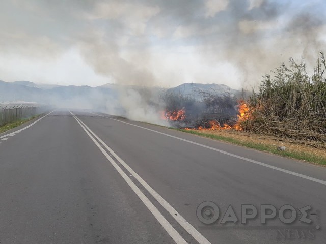 Φωτιά στην Ε.Ο. Ασπροχώματος – Μεσσήνης, έκλεισε ο δρόμος