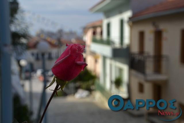 Μια άλλη Καλαμάτα μέσα στην Καλαμάτα