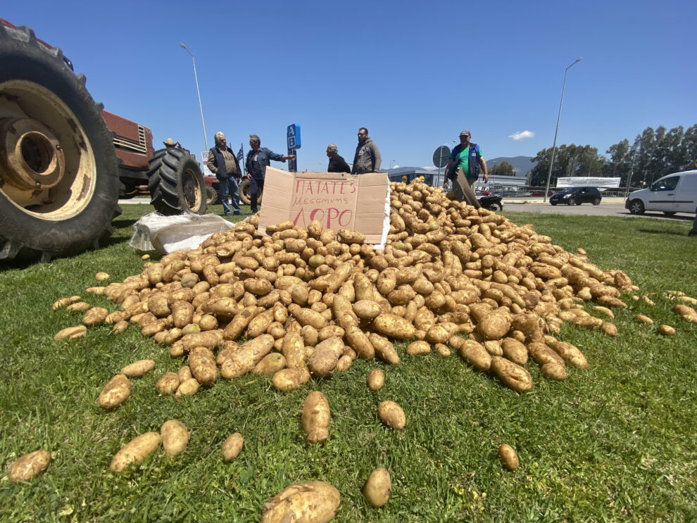 Έλεγχοι και εκστρατεία ενημέρωσης  για την πατάτα
