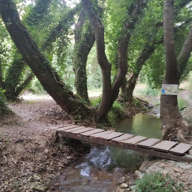 Στενωσιά Πυλίας: Ψηφιακή παρουσίαση