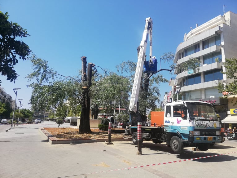 Σεβασμός στα δέντρα μας και στη ζωή…