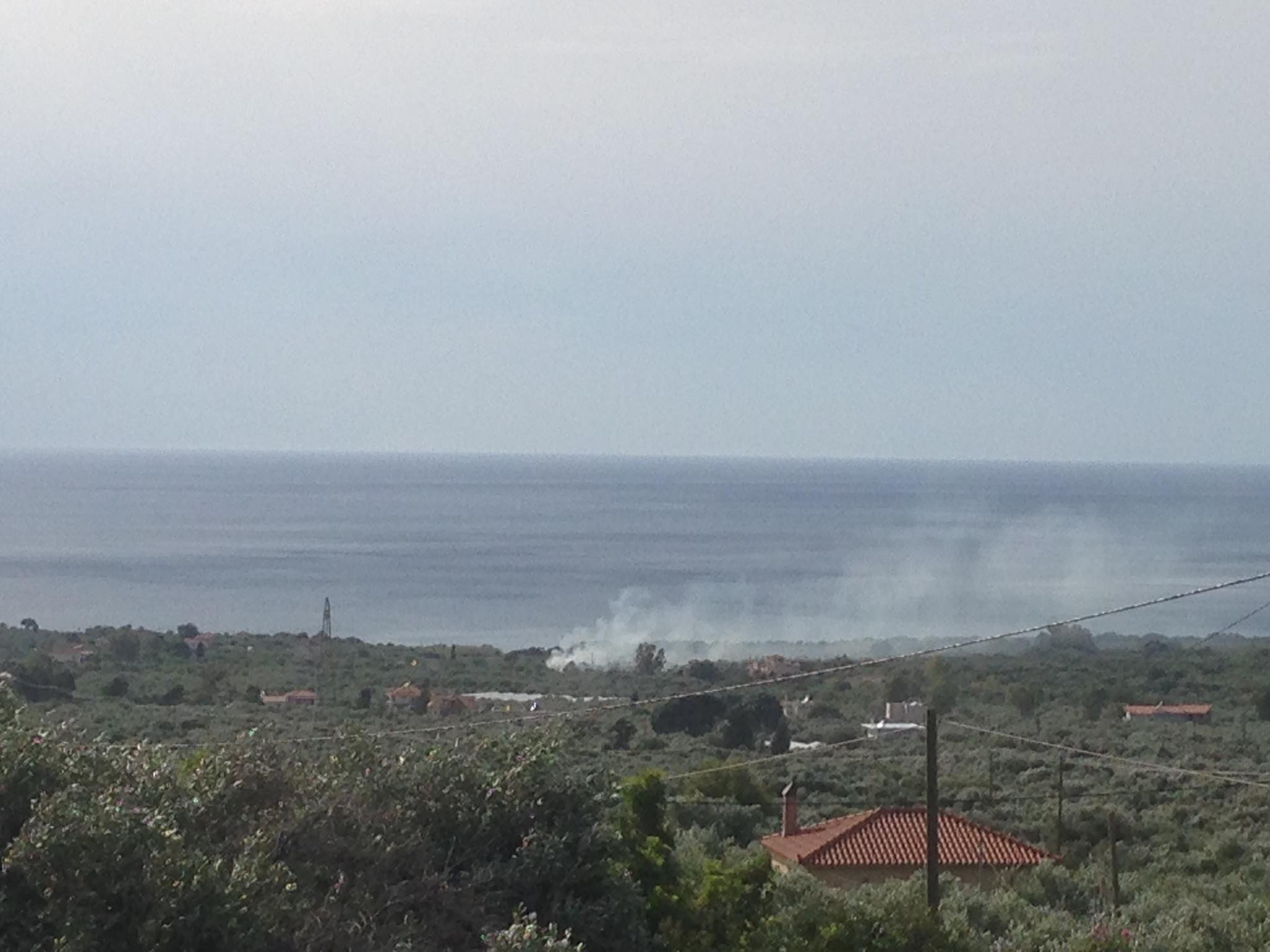 Φωτιά στον Καρτέλα Κυπαρισσίας