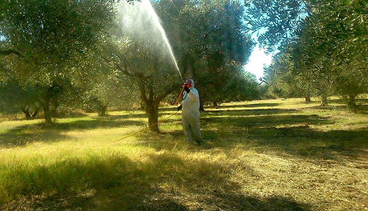 Εν αναμονή έγκρισης της  επιπλέον χρηματοδότησης για τη δακοκτονία