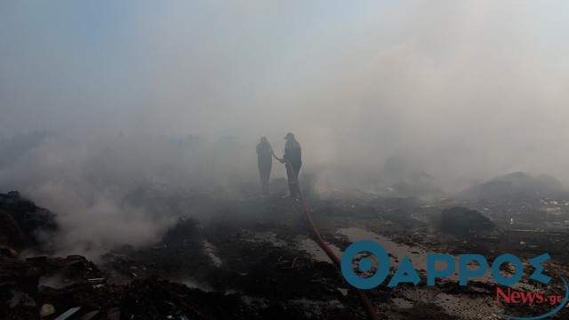 Πυροσβεστική για ΧΑΔΑ: Κάθε πέρσι  και καλύτερα σε αντιπυρικά μέτρα