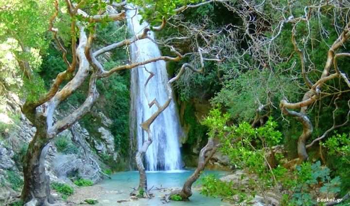 Προστασία και ανάδειξη  της ομορφιάς της Νέδας