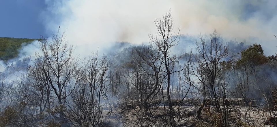 Φωτιά σε εξέλιξη στη Φαλαισία του Δήμου Μεγαλόπολης