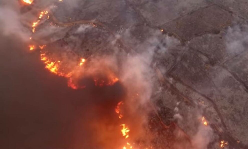 Πυρκαγιές σε Κύθηρα και Μάνη:  Οι Εισαγγελίες ανοίγουν και πάλι τις υποθέσεις