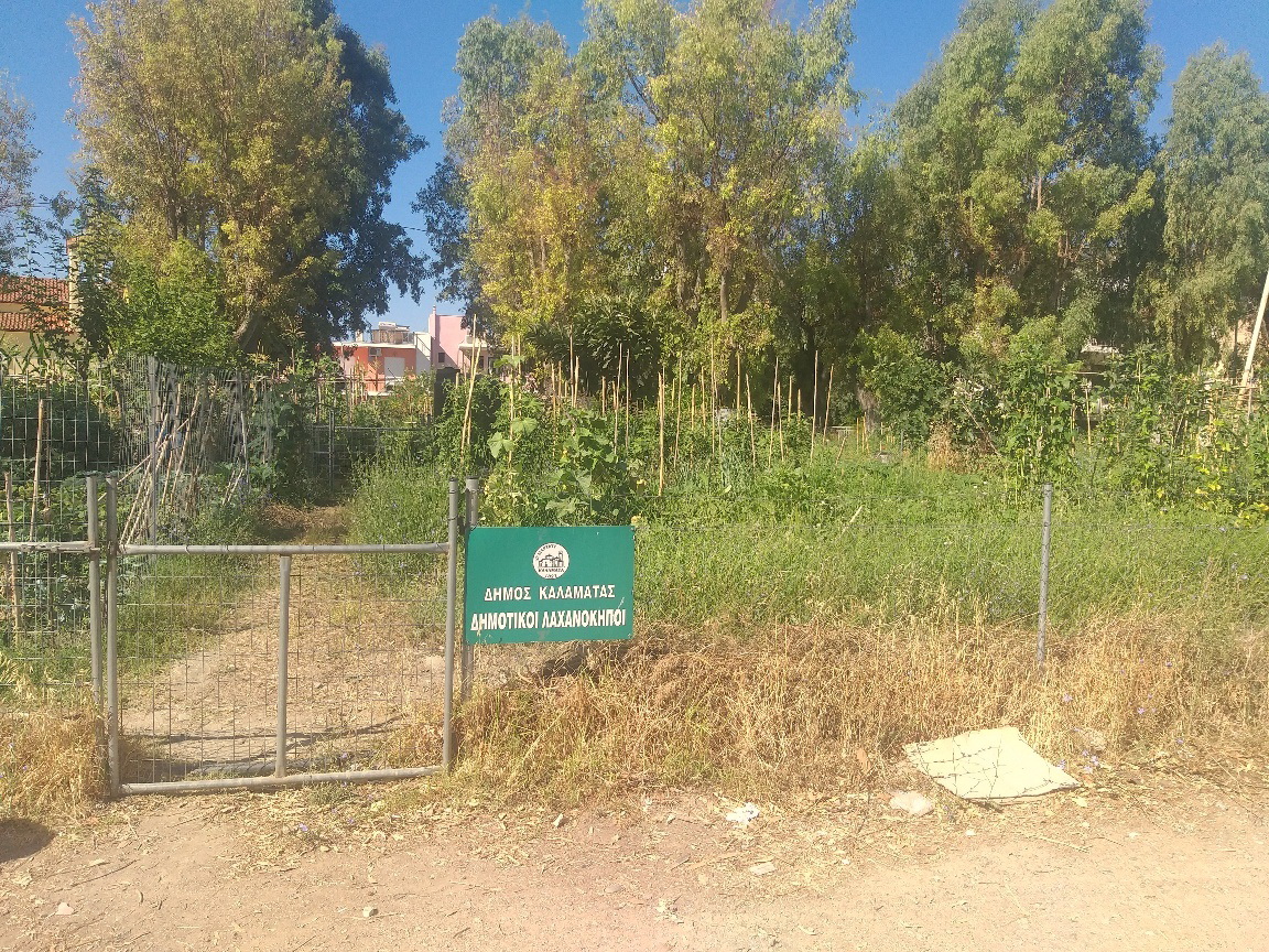 Επαναλειτουργία των δημοτικών λαχανόκηπων ζητά ο Γ. Τσώλης