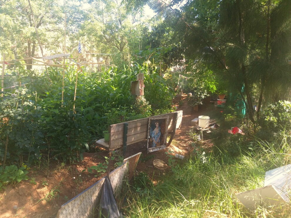 Μανώλης Μάκαρης: Να μην καταργηθούν αλλά να αναβαθμιστούν οι Δημοτικοί Λαχανόκηποι στην Καλαμάτα