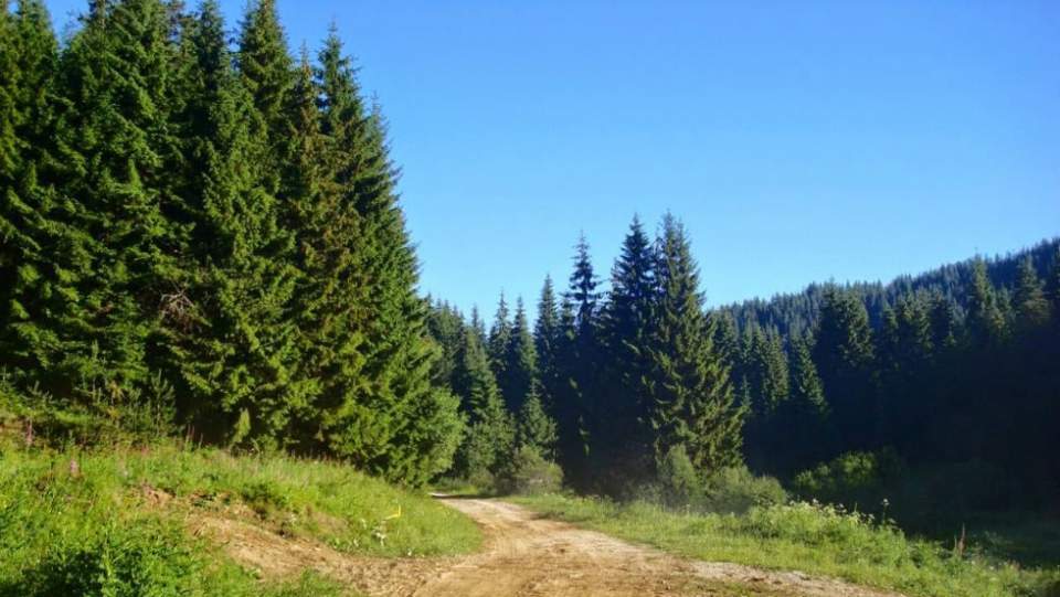 Προθεσμία για δασικούς χάρτες έως Σεπτέμβριο ζητεί η «ΠΟΜΙΔΑ»