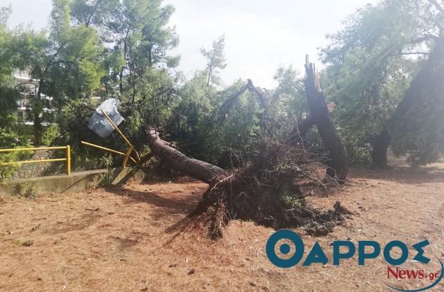 60% κρατική αρωγή σε   όσους έπαθαν ζημιές από τους ανεμοστρόβιλους πέρυσι