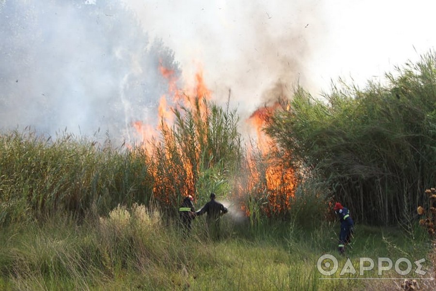 Κινδύνευσαν επιχειρήσεις και καταυλισμοί Ρομά απ΄τη φωτιά στο Ασπρόχωμα – Υπόνοιες εμπρησμού