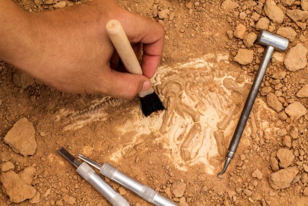 Αρχαιολογική έρευνα του Πανεπιστημίου  Πελοποννήσου στην Άνω Μεσσηνία
