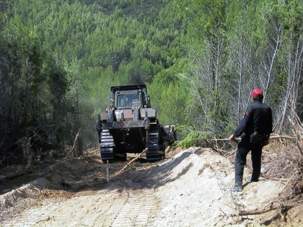 Δασαρχείο: Καμία μελέτη από Δήμους και Περιφέρεια για αντιπυρικές ζώνες ή δρόμους