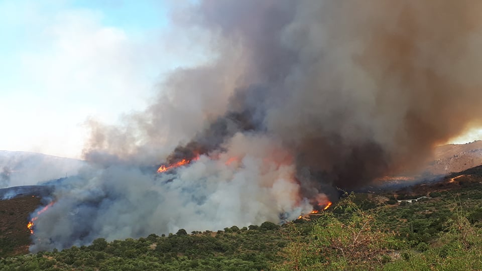 Φωτιά σε δασική έκταση στην περιοχή Κυπαρίσσια του δήμου Μεγαλόπολης