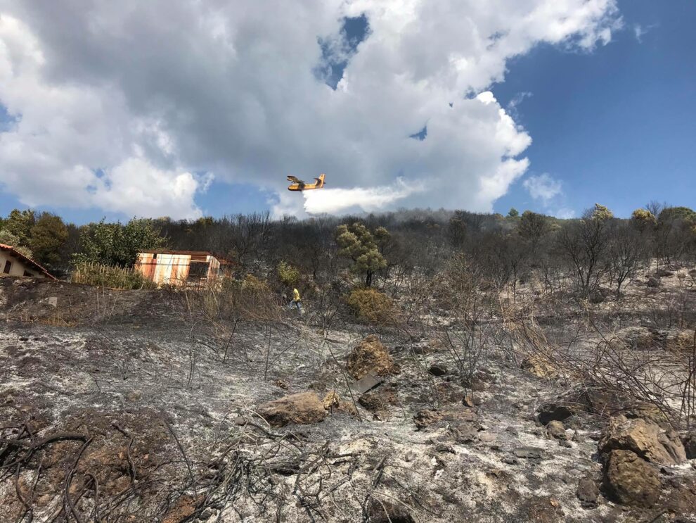 Υπό μερικό έλεγχο η φωτιά στο Χανδρινού Πυλίας (φωτογραφίες)