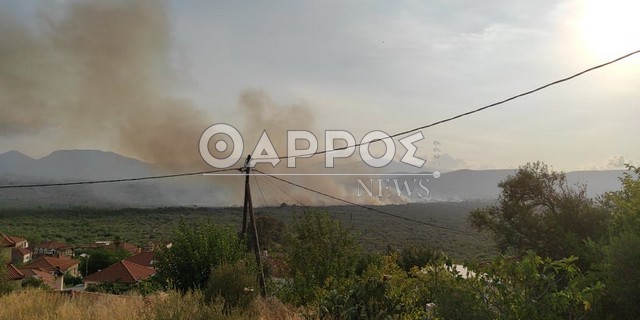 Υπό μερικό έλεγχο η φωτιά στο Διαβολίτσι – Μεγάλες καταστροφές