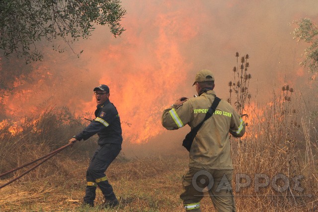 Πολύ υψηλός κίνδυνος πυρκαγιάς σήμερα στη Μεσσηνία