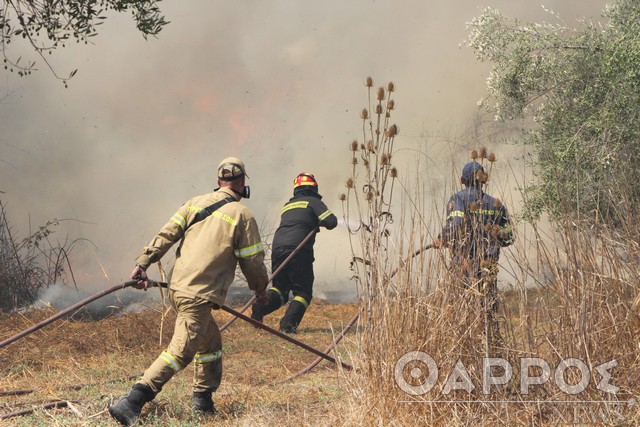 Πυρκαγιά “καρμπόν” κατέκαψε 20 στρέμματα στο Ασπρόχωμα