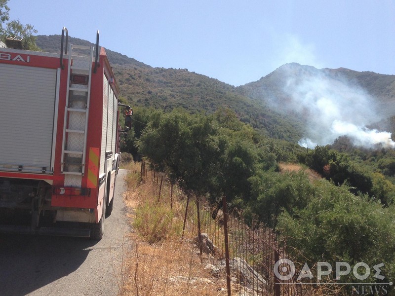 Φωτιά στους Άνω Μπλεμενιάνους Κυπαρισσίας (φωτογραφίες)