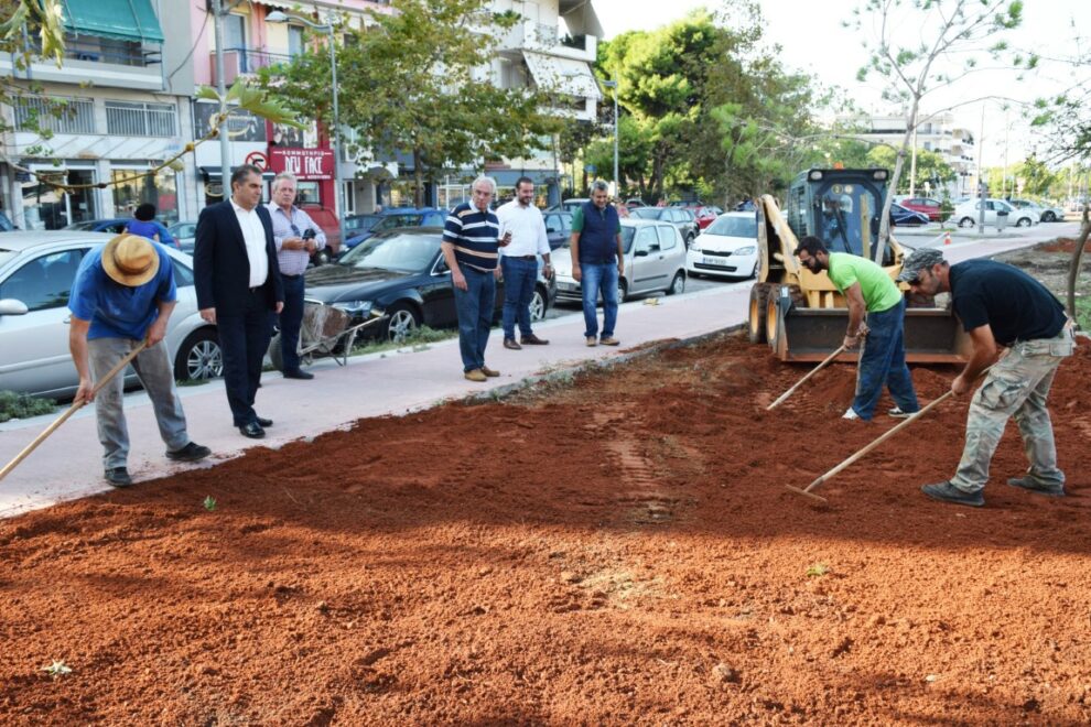 Ενισχύεται το πράσινο και φυτεύονται νέα δέντρα