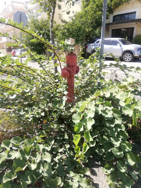 Κρύφτηκε ο κρουνός