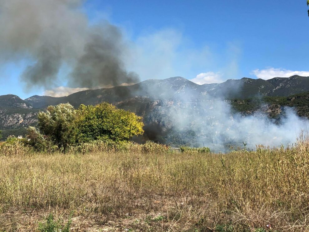 Φωτιά από ρευματοκλοπή στο Αριοχώρι (βίντεο)