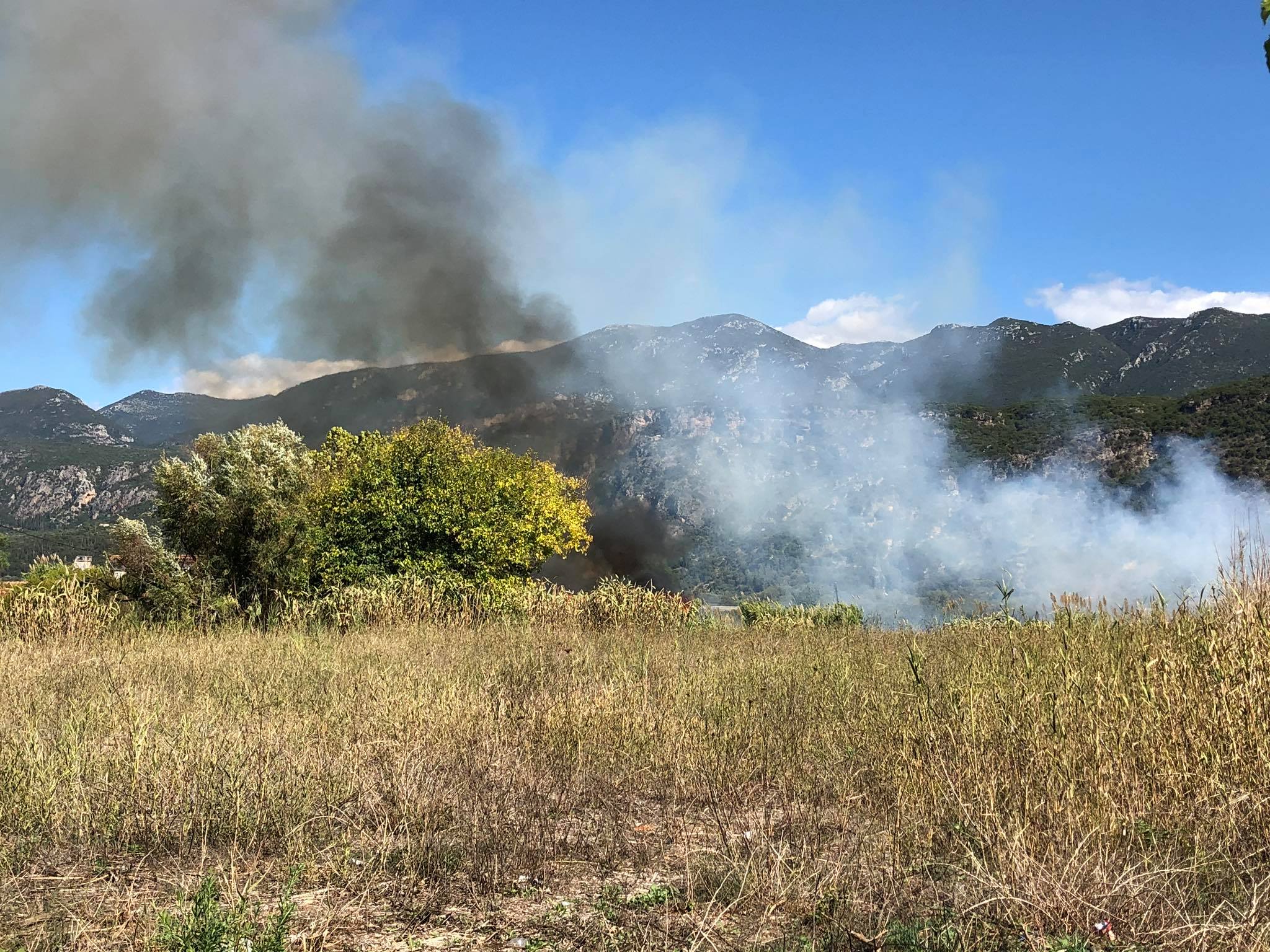 Φωτιά από ρευματοκλοπή στο Αριοχώρι (βίντεο)