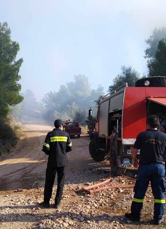 Φωτιά στην Ελαία – Ισχυρές δυνάμεις στην κατάσβεση