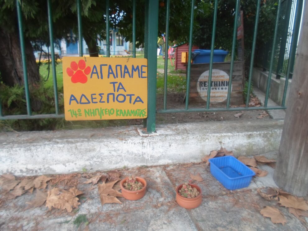 Μην ξεχνάμε τα αδέσποτα…