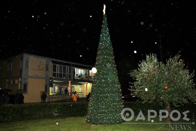 Υπό βροχή η φωταγώγηση του χριστουγεννιάτικου δέντρου στο ΒΙΟ.ΠΑ. Καλαμάτας