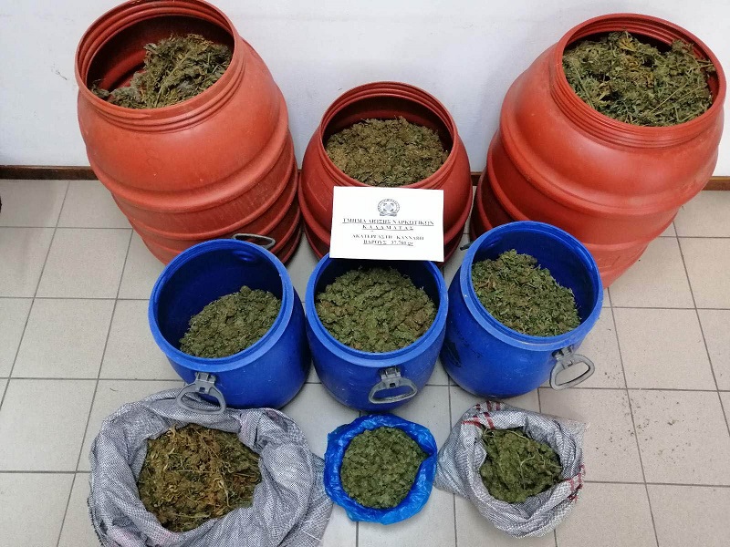 75,5 κιλά καλαματιανή “φούντα” κατέσχεσε το τμήμα δίωξης ναρκωτικών μέσα σ’ ένα χρόνο