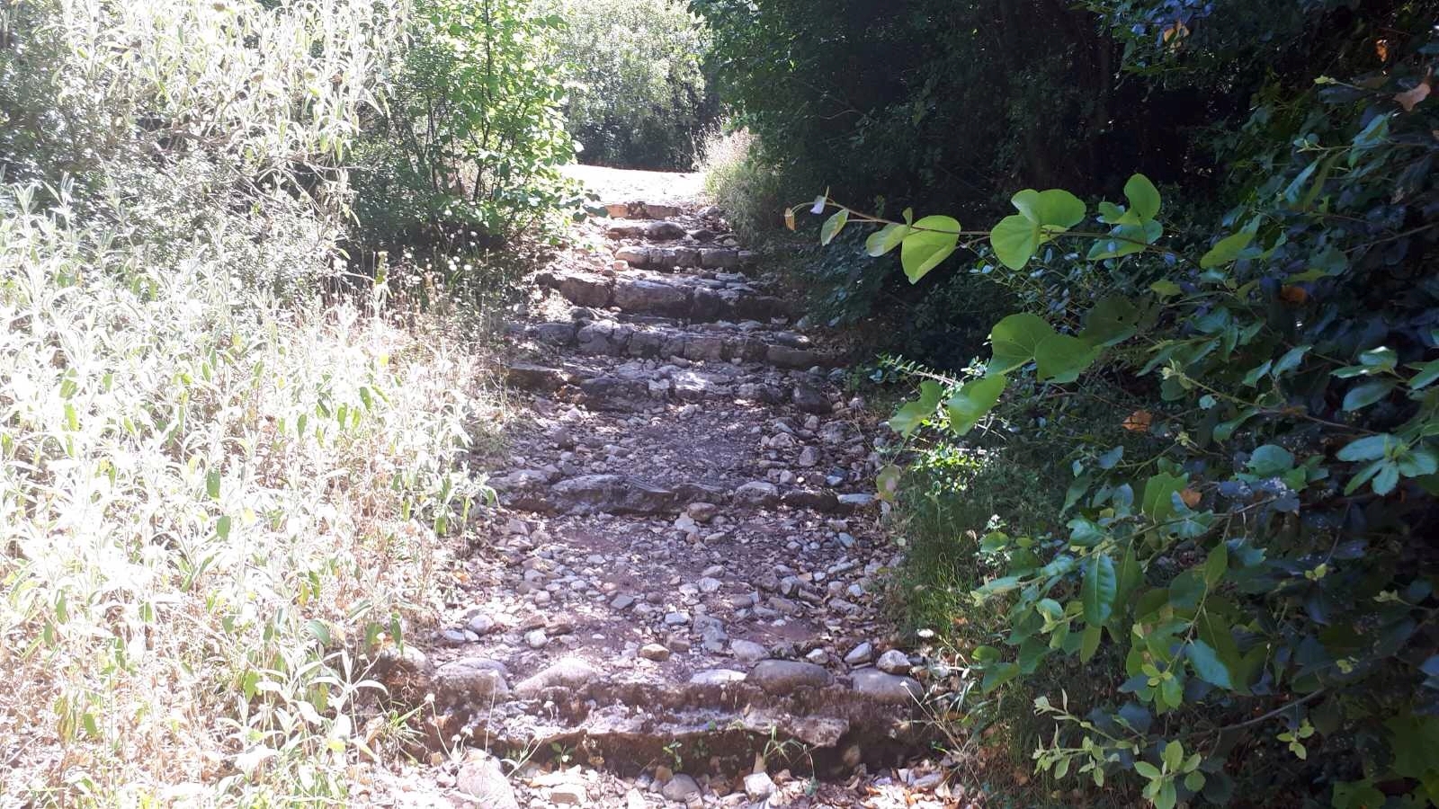 Κραυγή αγωνίας σε Νίκα για τη Νέδα από την  Ένωση Ξενοδόχων Τριφυλίας
