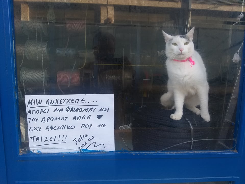 Η Τζούλια της οδού Τσαμαδού