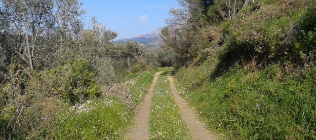 Συμβάσεις αναβάθμισης του αγροτικού δικτύου της Μεσσηνίας