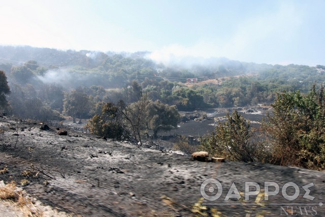 Χωρίς ενεργό μέτωπο η φωτιά στη Μαθία – Υψηλός κίνδυνος για πυρκαγιά σήμερα στη Μεσσηνία
