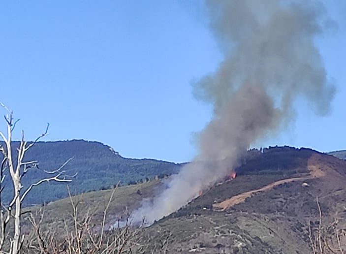 Κι άλλη φωτιά στον Ταΰγετο από αμέλεια