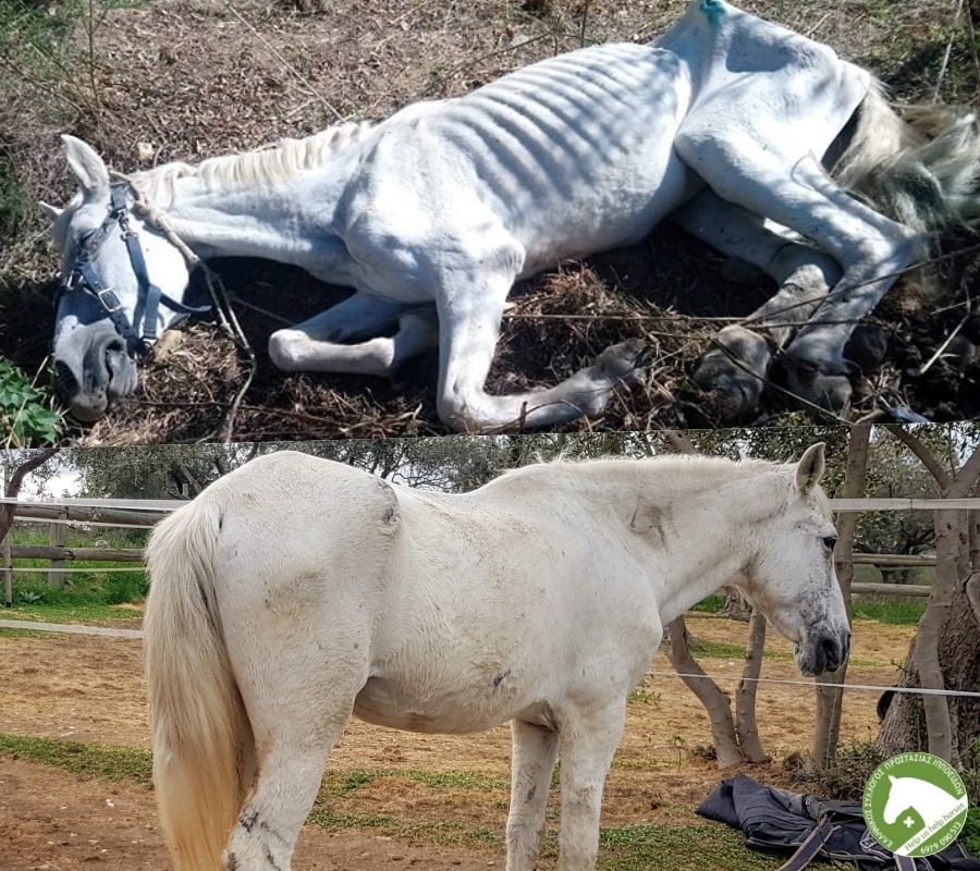 Η μεγάλη αλλαγή της Ιόλης