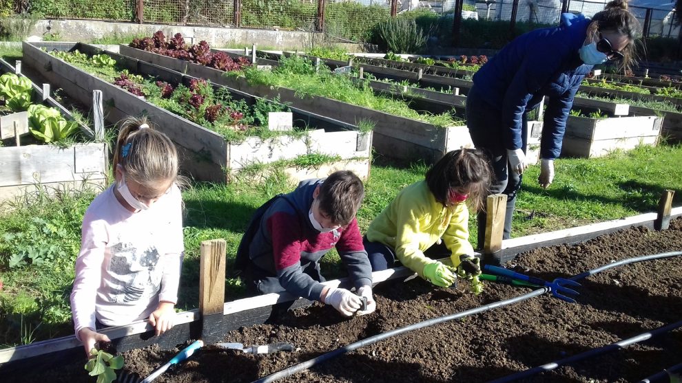 18ο Δημοτικό Σχολείο: Εμείς και «ο Κήπος της Λυσούς»… φυντάνι φυτεύουμε στη γη