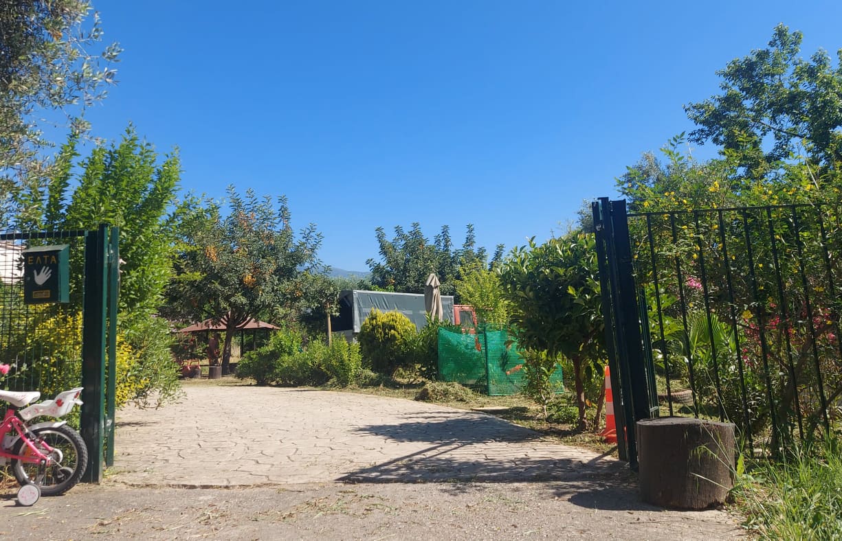 Άμεση ανταπόκριση
