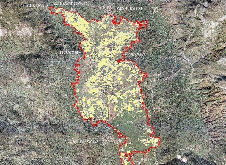 Στην τελική ευθεία οι αναδασμοί –  Κορινθία και Μεσσηνία οι εκκρεμότητες