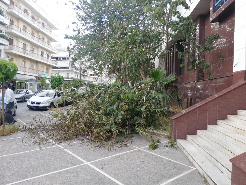 Έπεσε δέντρο έξω από το Δικαστικό Μέγαρο