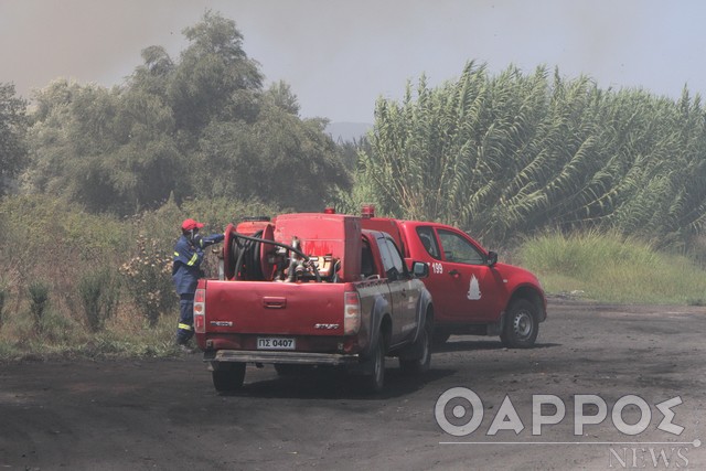 Ο Δήμος Τριφυλίας προσλαμβάνει 4 τετραμηνίτες Υ.Ε. για πυροπροστασία