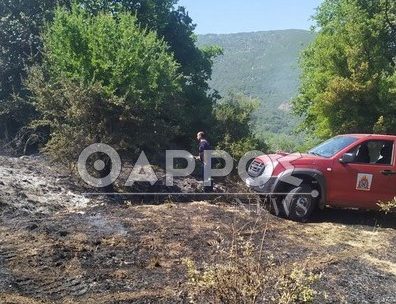 Υπό έλεγχο η φωτιά στο Άνυδρο Τριφυλίας